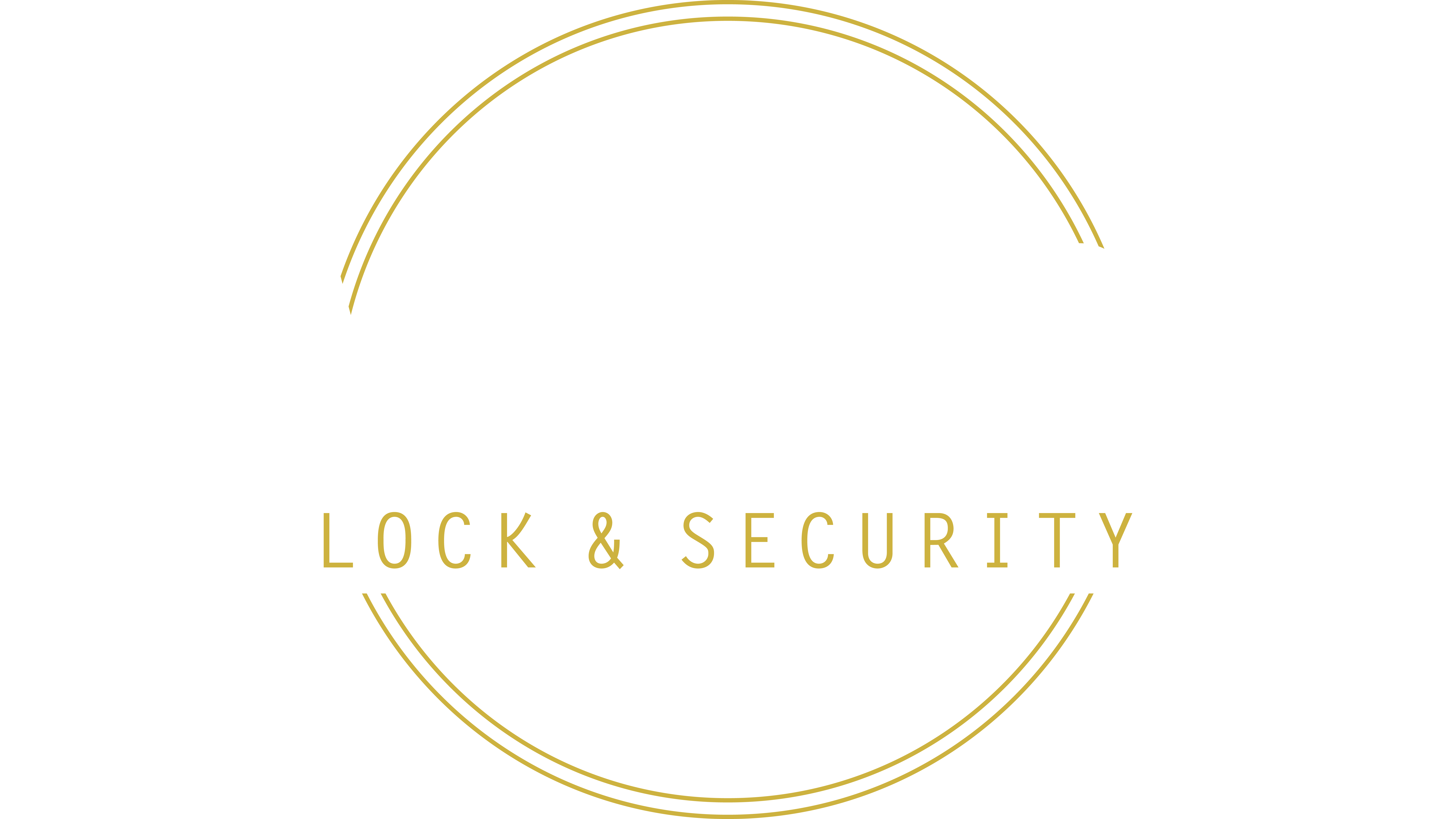 levis's lock and security
